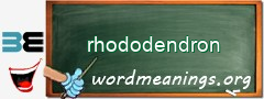 WordMeaning blackboard for rhododendron